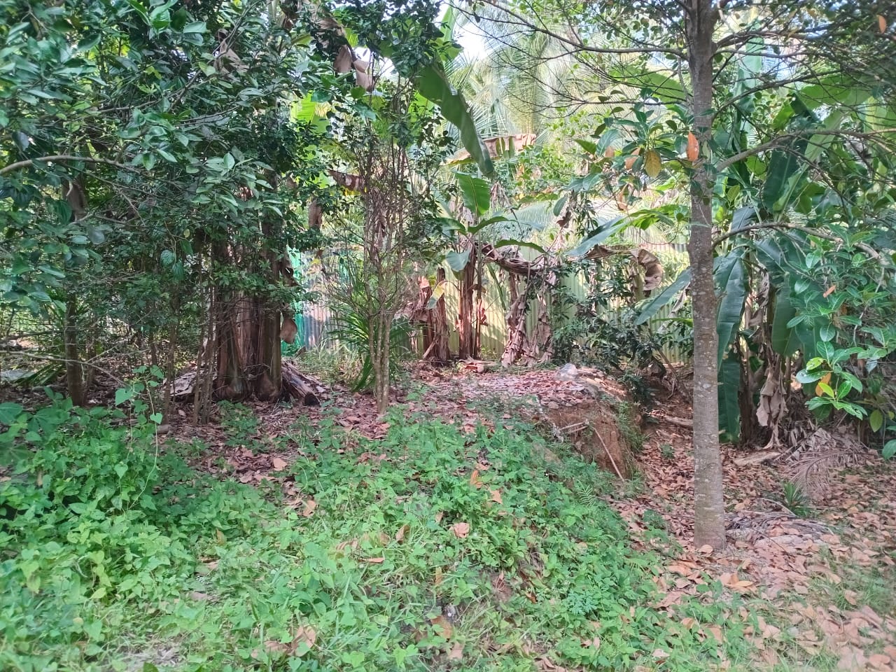 Residential Land for Sale in Homagama ads-image-1