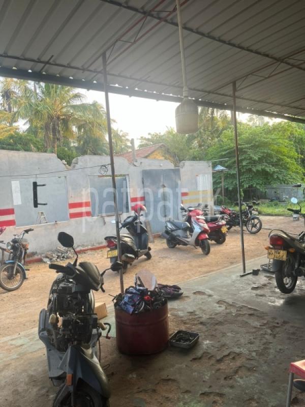 Advertisement image 3