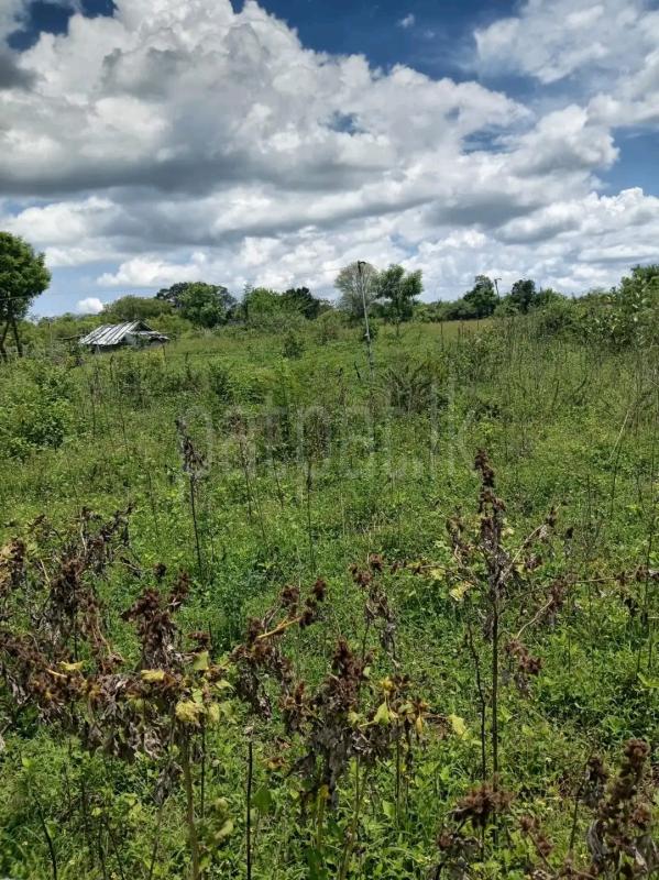 Agricultural Land for Sale in Panadura