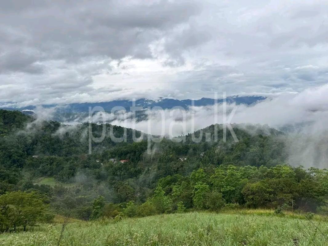 Agricultural Land for Sale in Ambewela