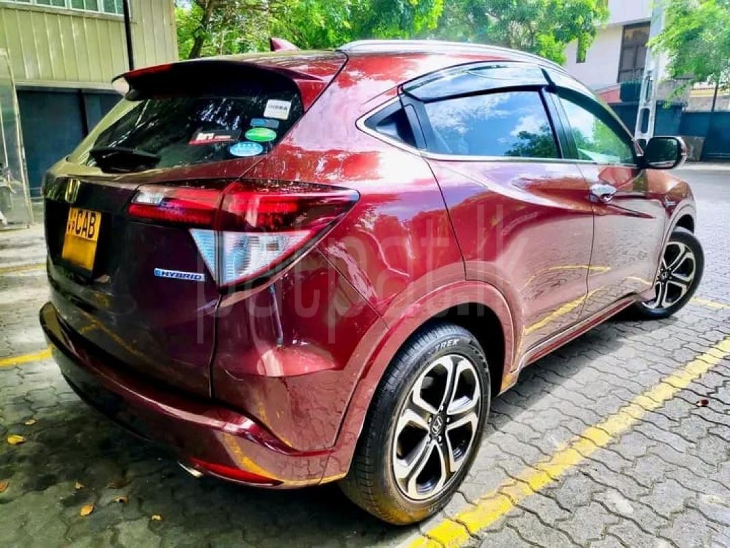 Advertisement image 2