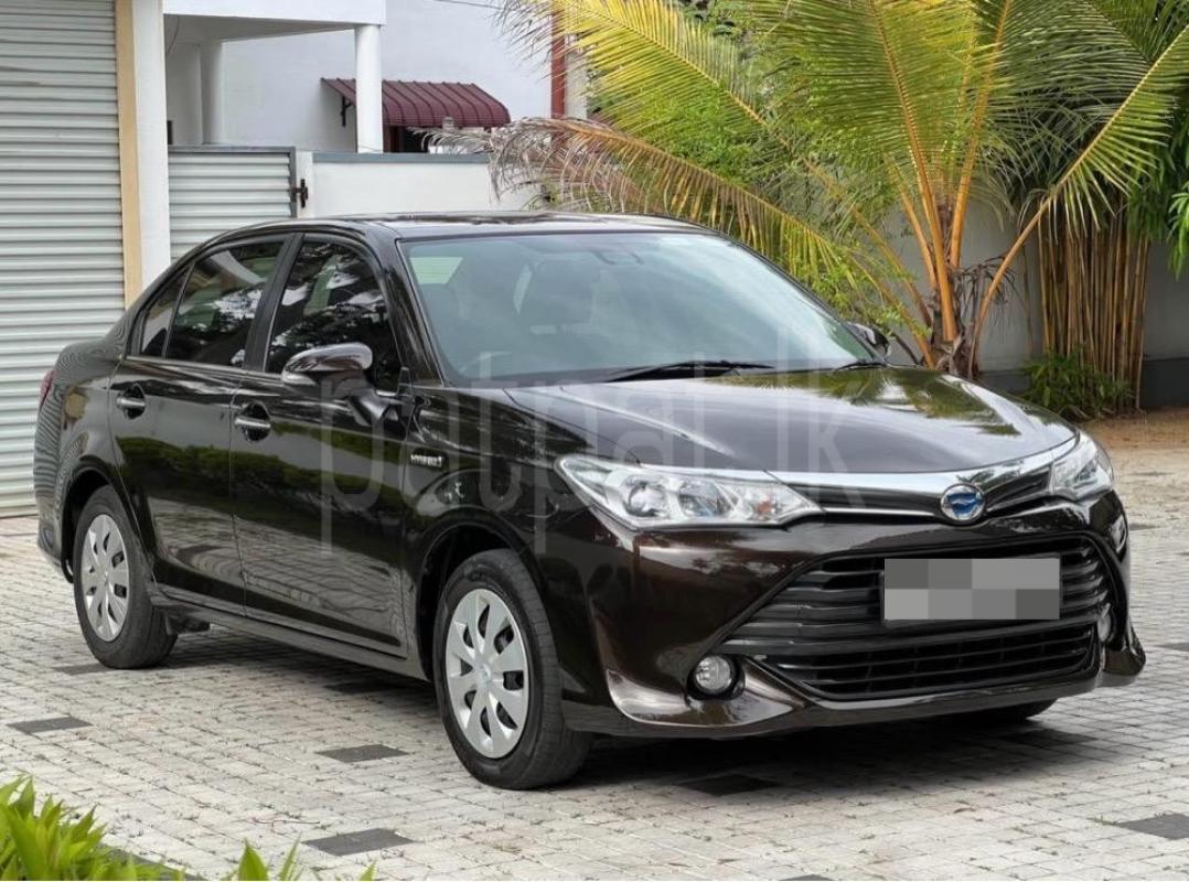 Advertisement image 2