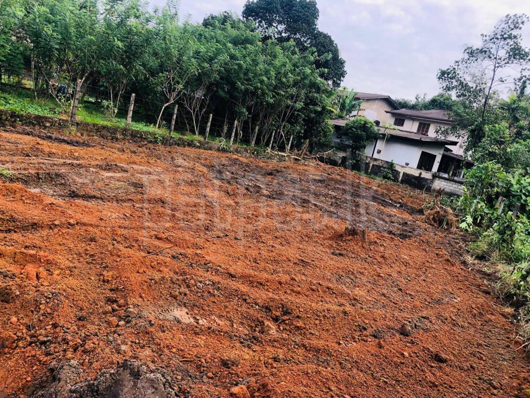 Commercial Land for Sale in Horana