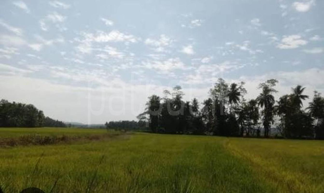 Residential Land for Sale in Kandy ads-image-1