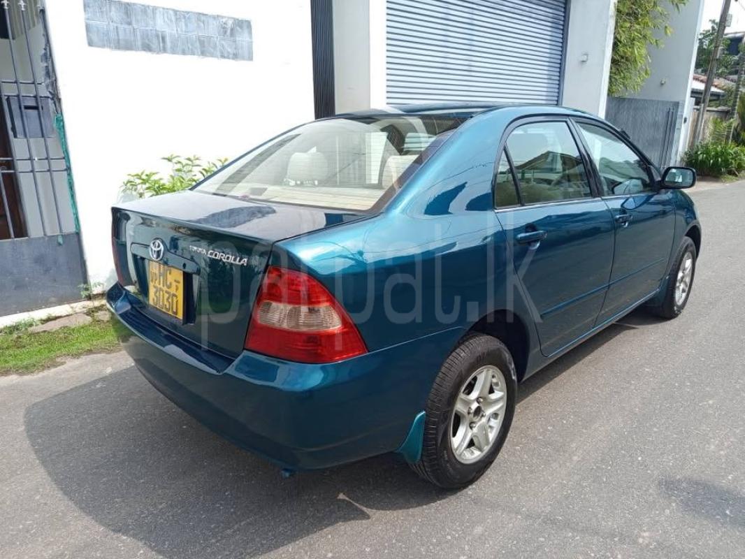 Advertisement image 3