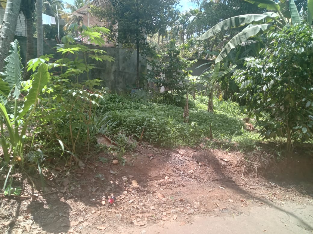 Residential Land for Sale in Medawala Harispattuwa