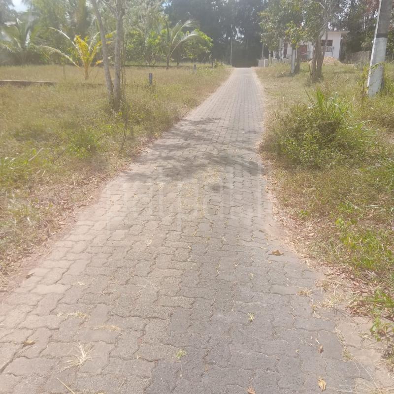 Commercial Land for Sale in Ambepussa