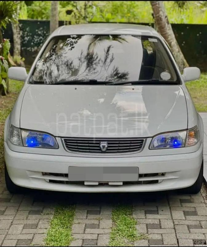 Advertisement image 1