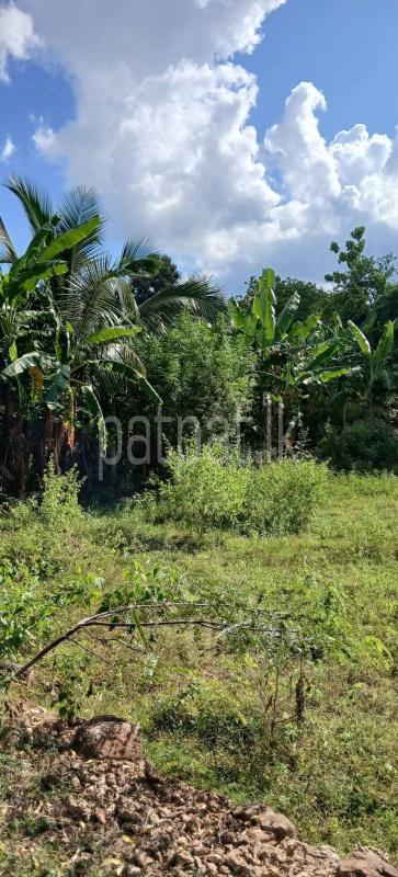 Residential Land for Sale in Kataragama