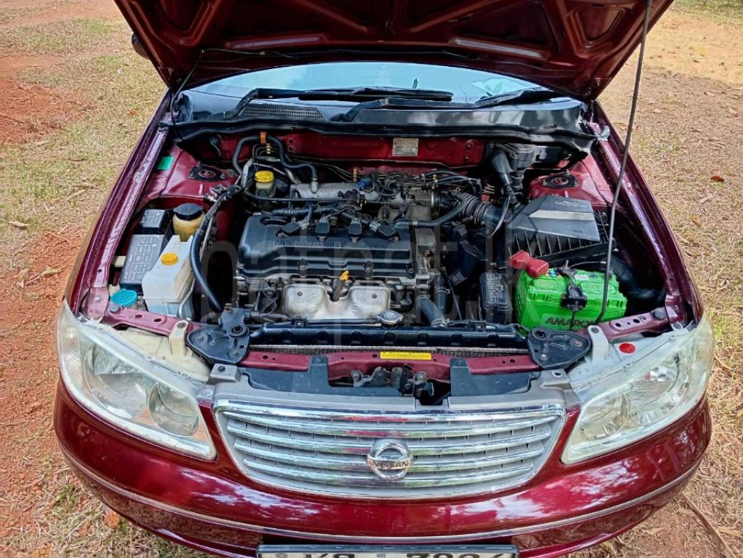 Advertisement image 3