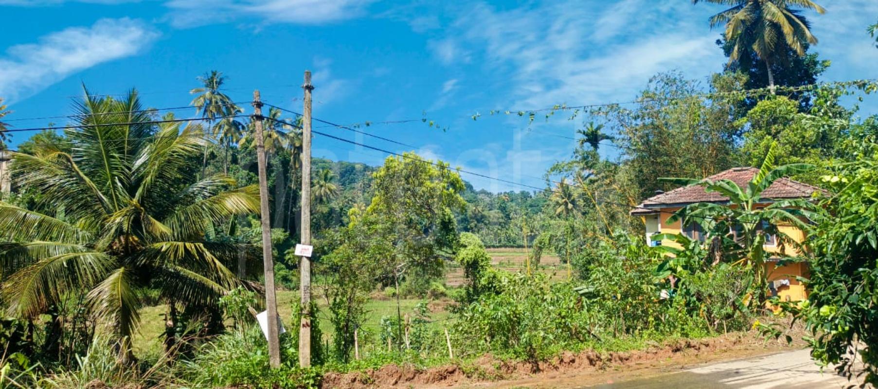 Residential Land for Sale in Ampitiya