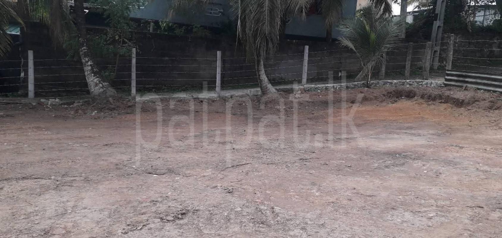 Commercial Land for Sale in Kotte