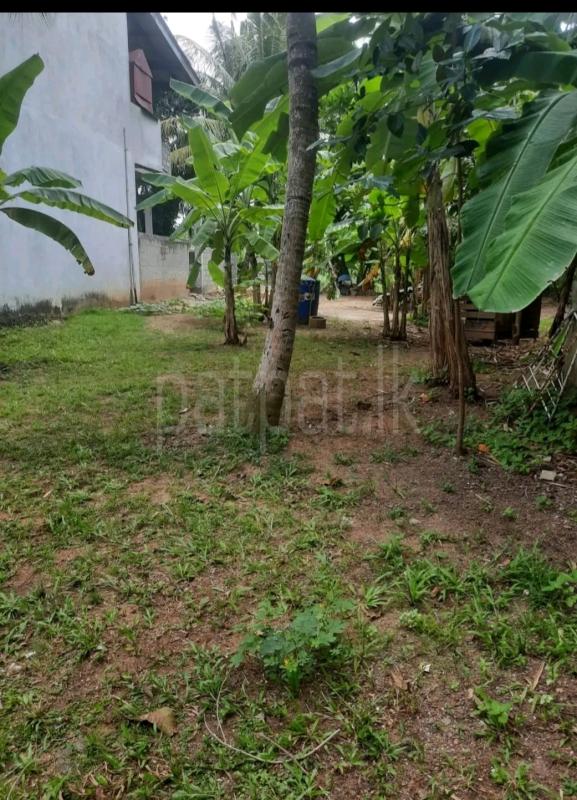 Residential Land for Sale in Mawathagama