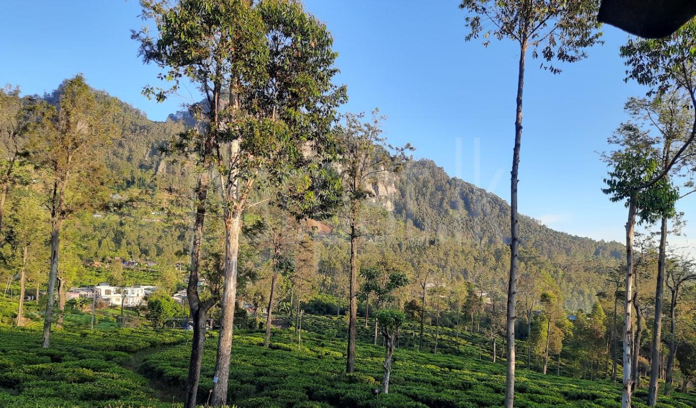 Commercial Land for Sale in Kandy