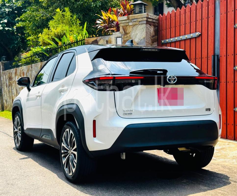 Advertisement image 5