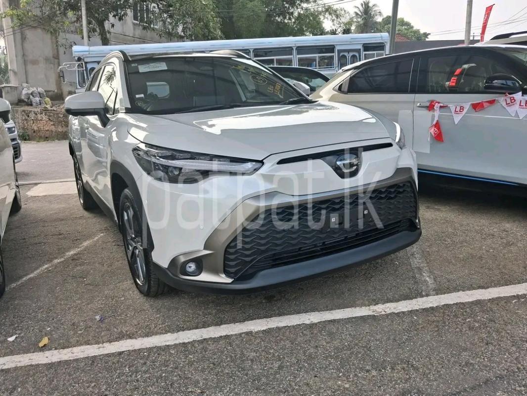 Advertisement image 3