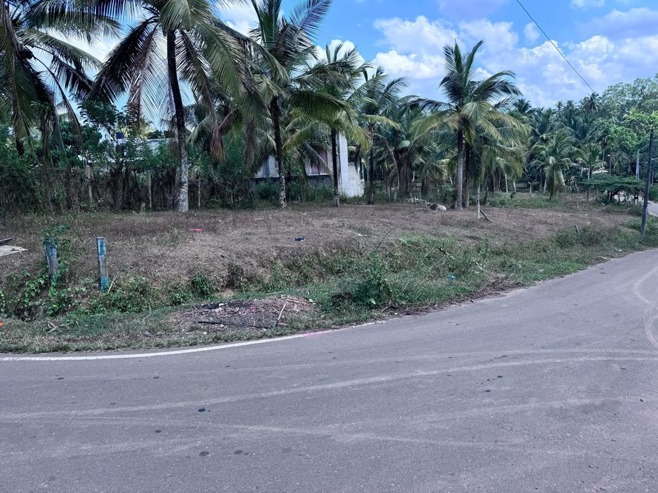 Residential Land for Sale in Kiriwattuduwa