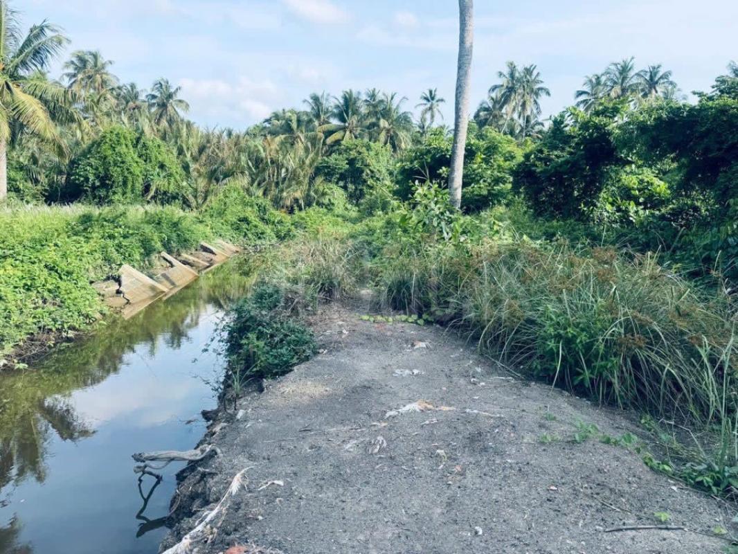 Residential Land for Sale in Kochchikade