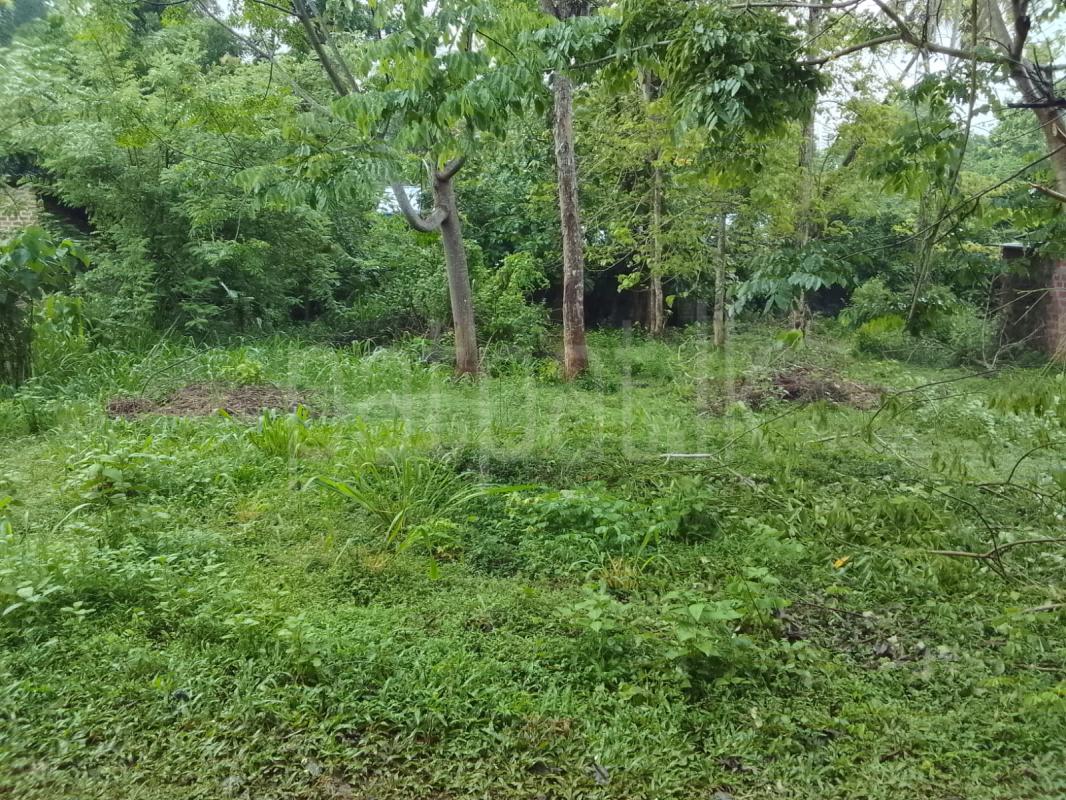 Commercial Land for Sale in Wariyapola