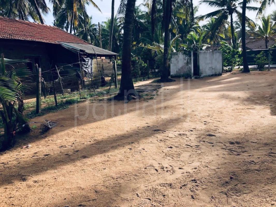 Advertisement image 5