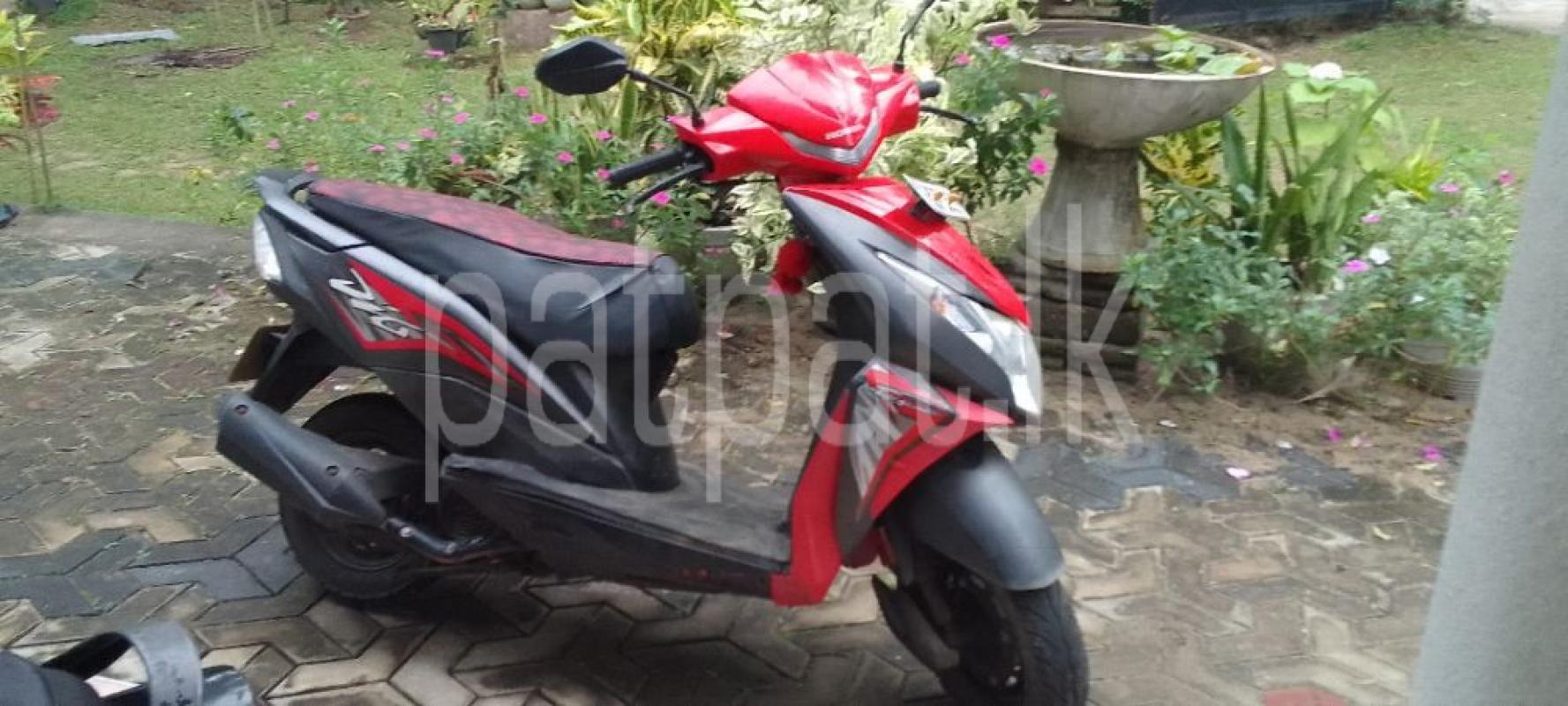 Advertisement image 5