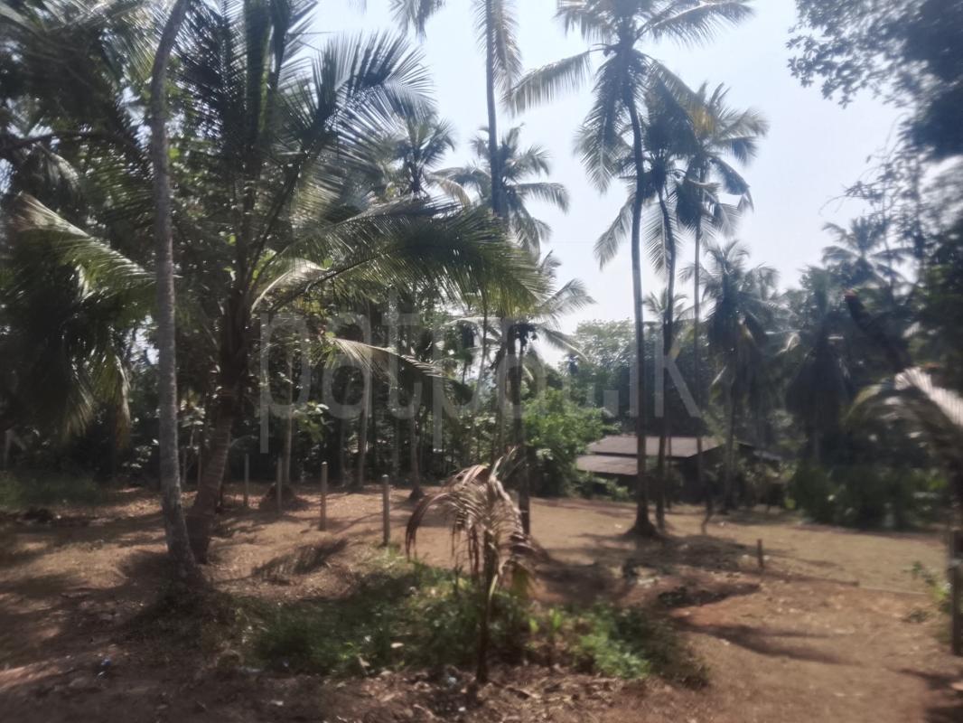 Residential Land for Sale in Kirindiwela