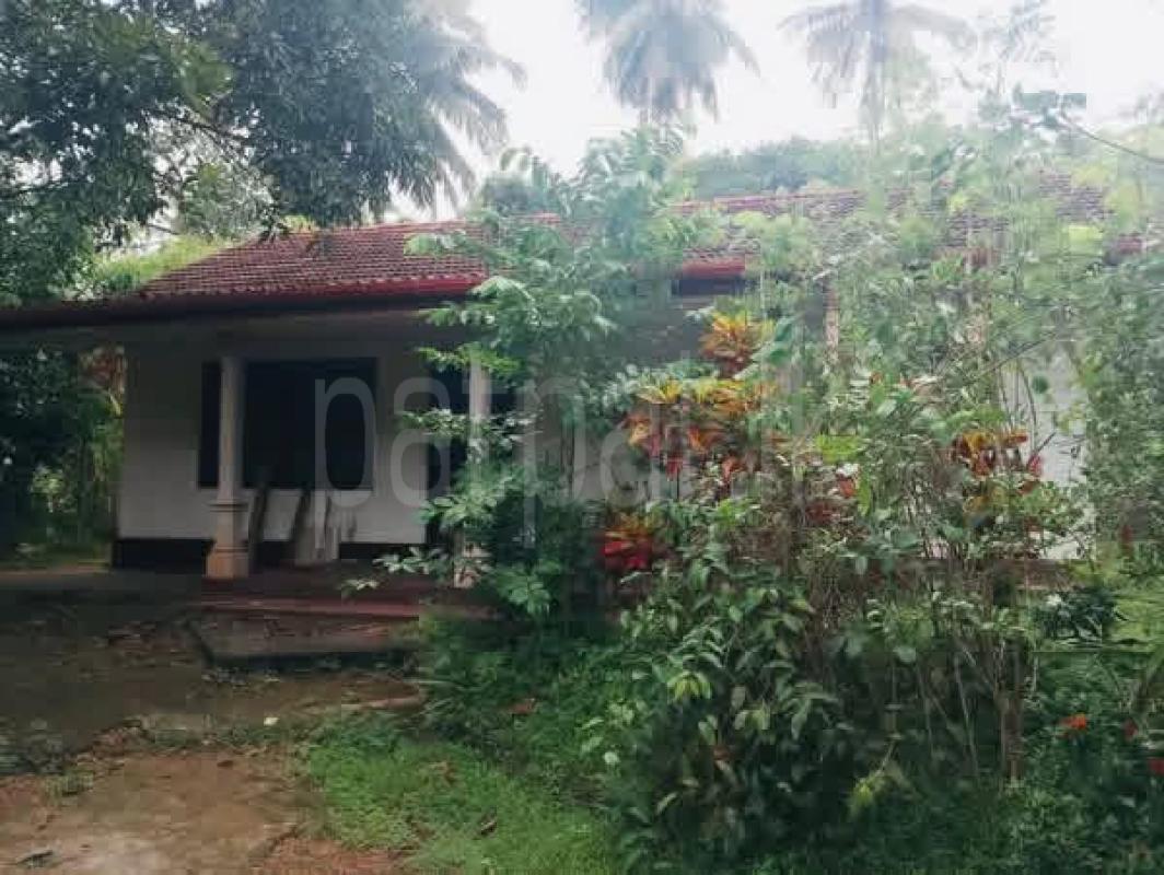 Residential Land for Sale in Divulapitiya