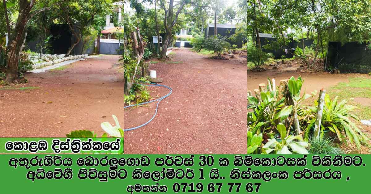 Advertisement image 1