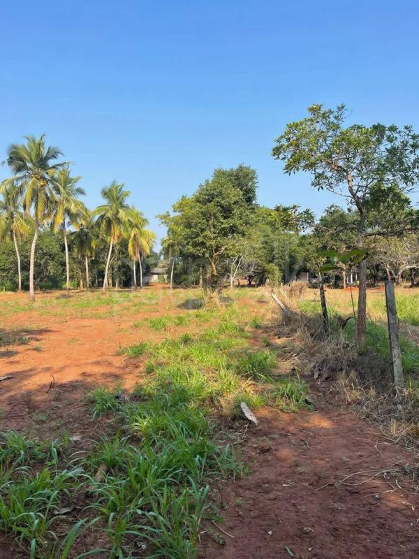 Residential Land for Sale in Anuradhapura