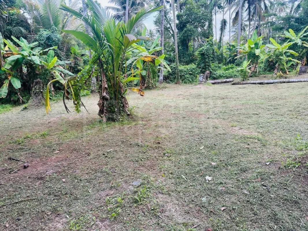 Residential Land for Sale in Ja-Ela