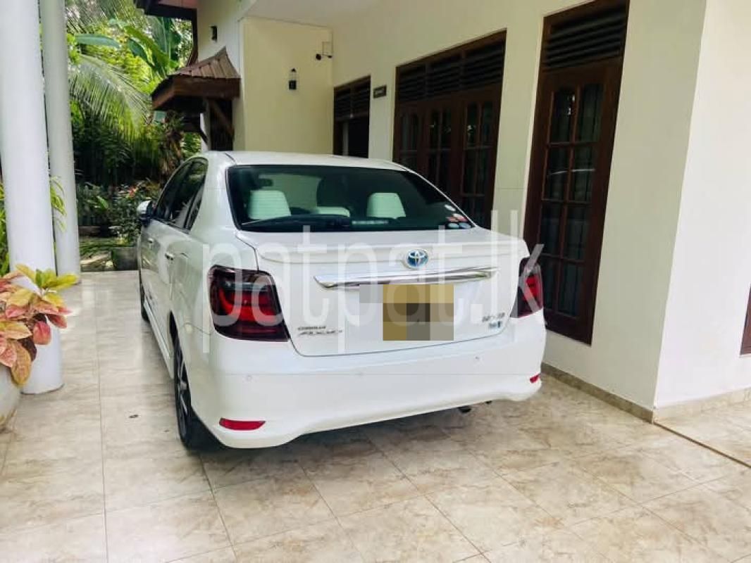 Advertisement image 4