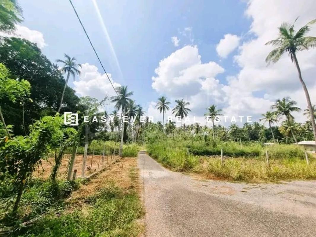 Commercial Land for Sale in Mirigama