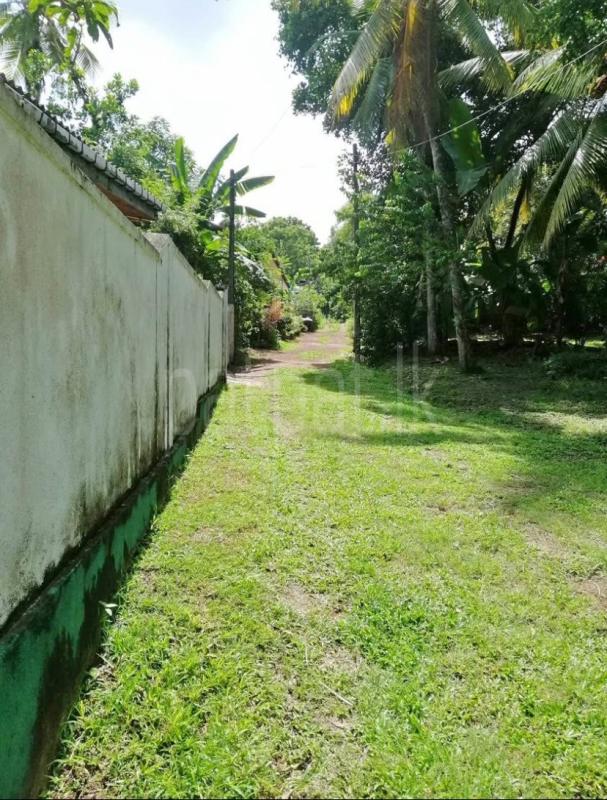 Residential Land for Sale in Wattala ads-image-1