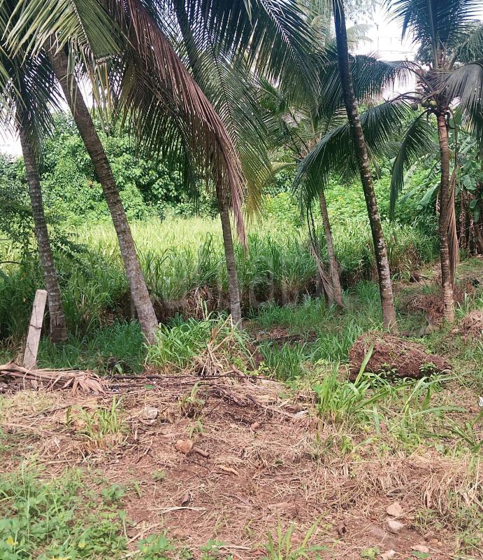 Residential Land for Sale in Athurugiriya