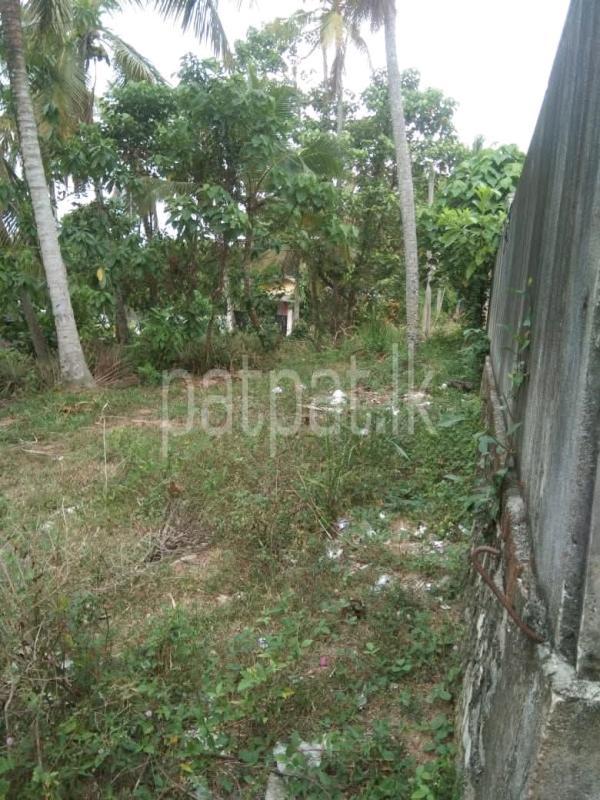Residential Land for Sale in Moratuwa