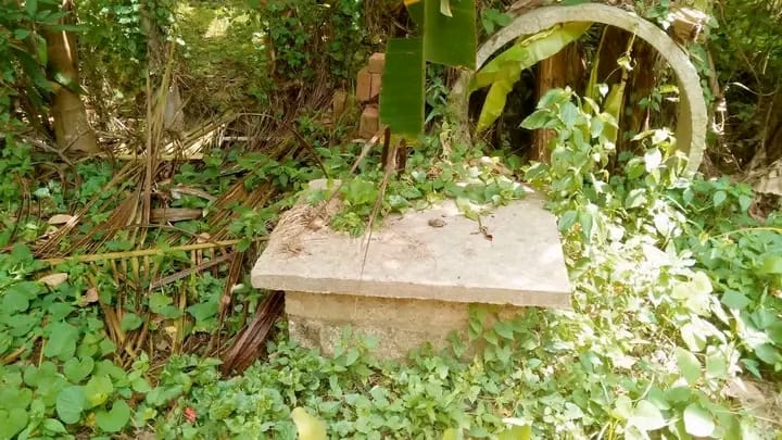 Advertisement image 6