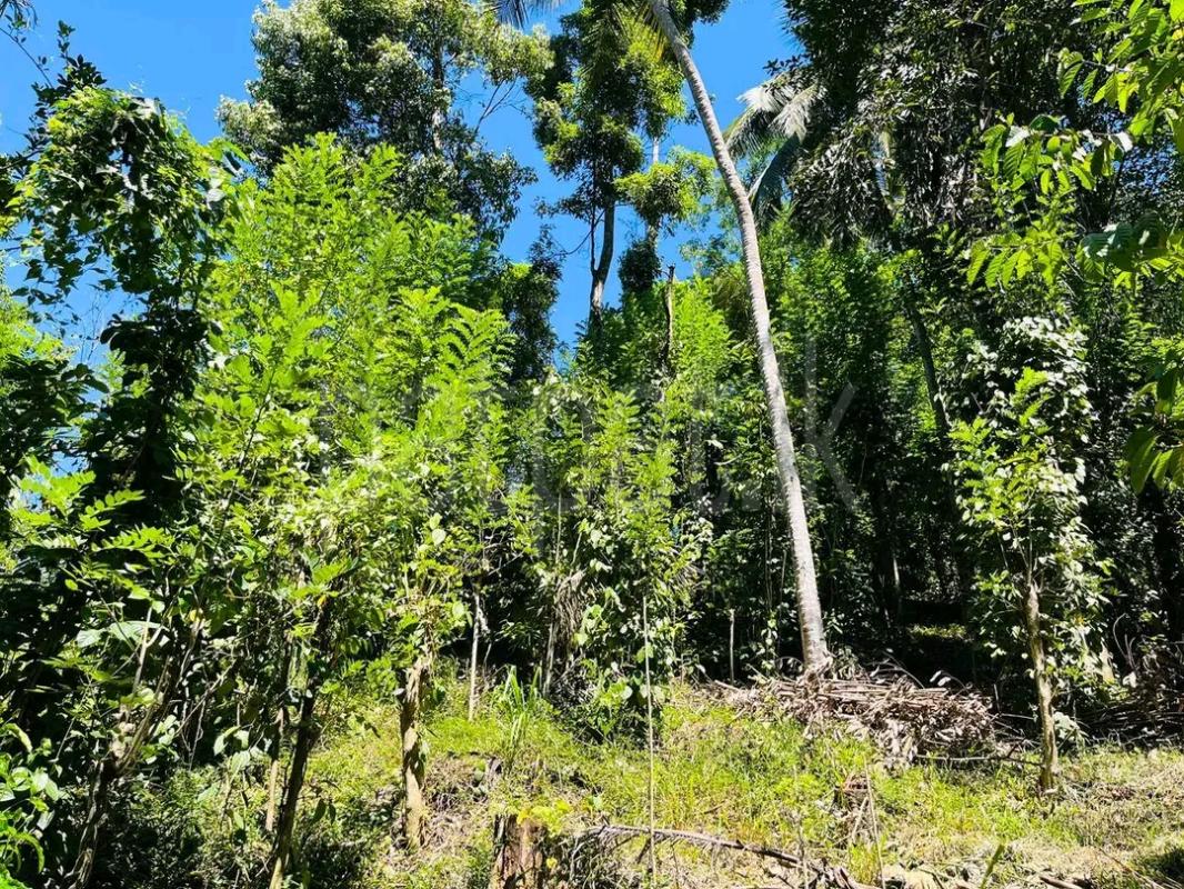 Residential Land for Sale in Beruwala ads-image-1