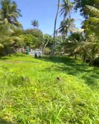 Commercial Land for Sale in Ahangama