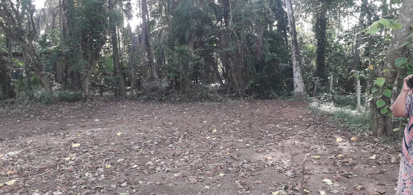 Commercial Land for Sale in Homagama