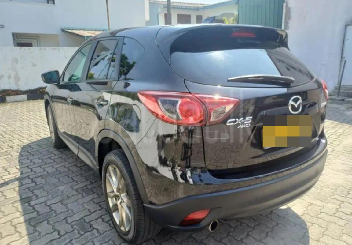 Advertisement image 2