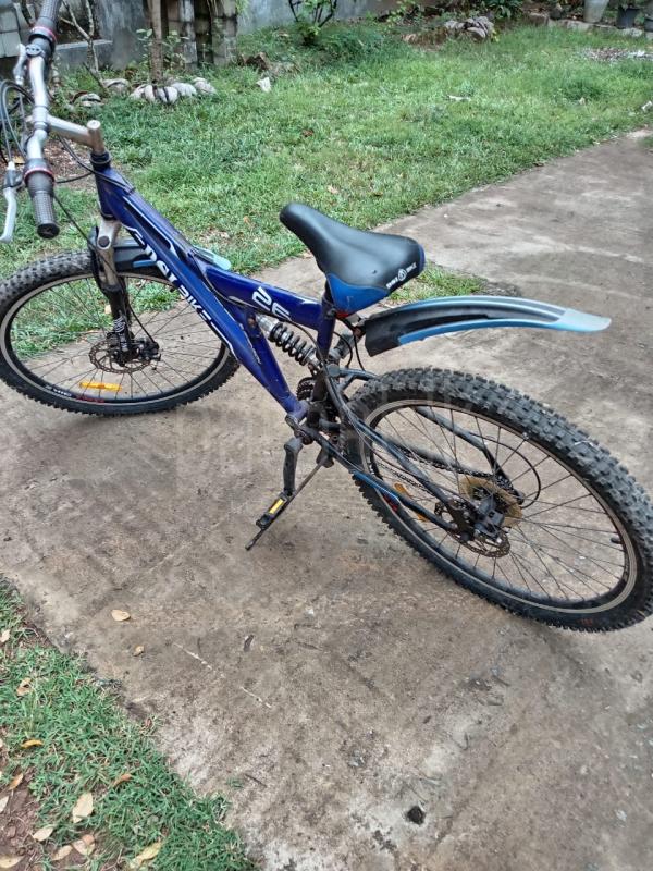 Advertisement image 2