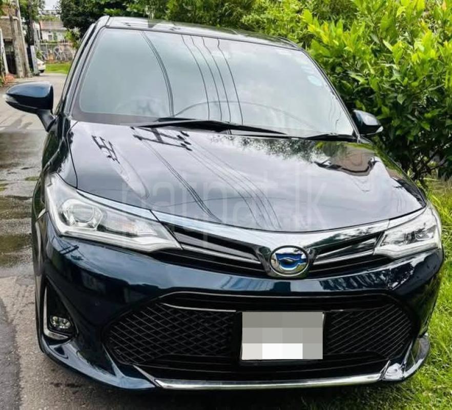 Advertisement image 1