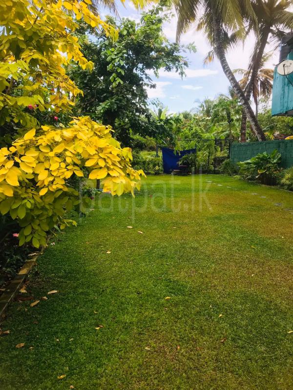 Commercial Land for Sale in Unawatuna