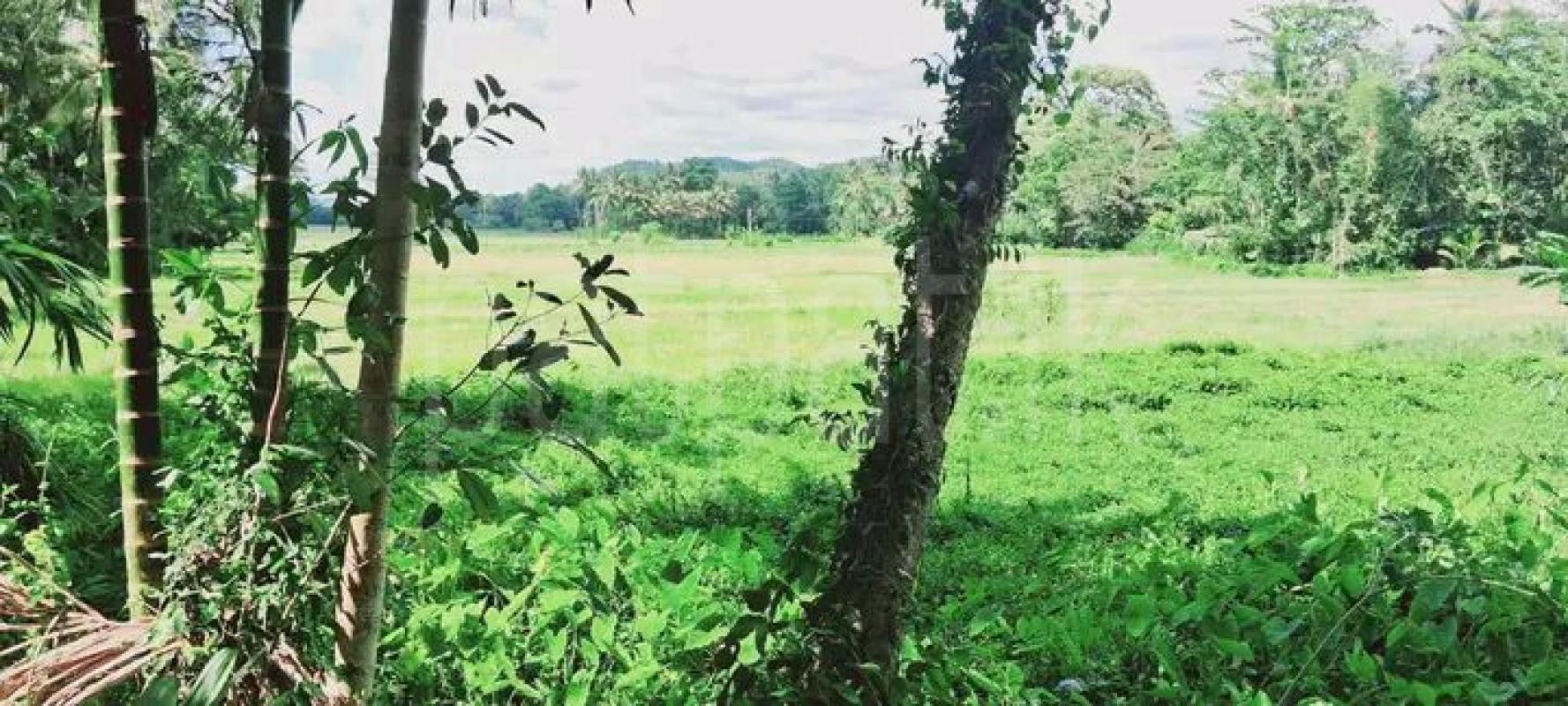 Residential Land for Sale in Kurunegala