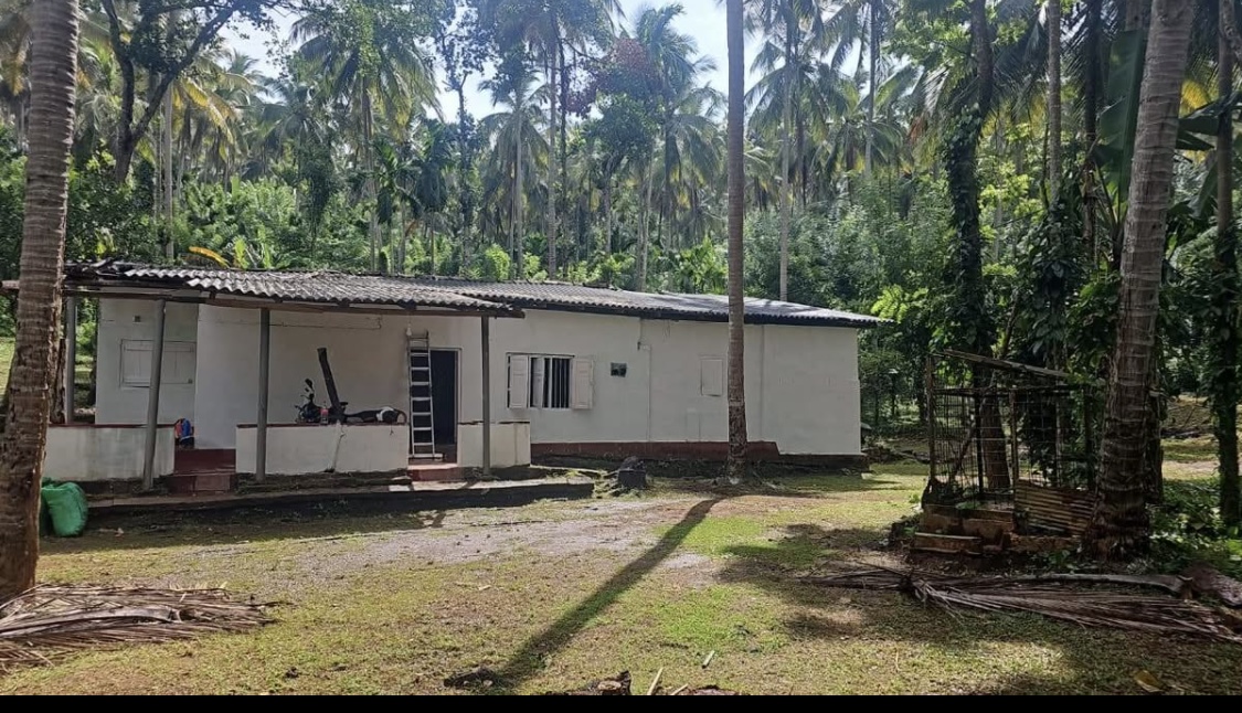 Agricultural Land for Sale in Kundasale