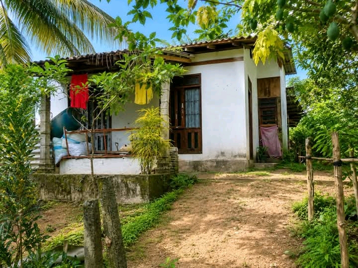 House for Sale in Homagama