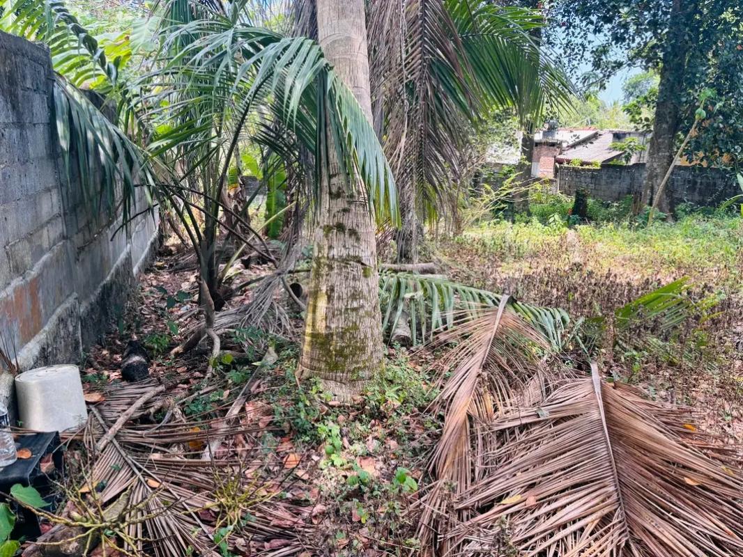 Residential Land for Sale in Wattala
