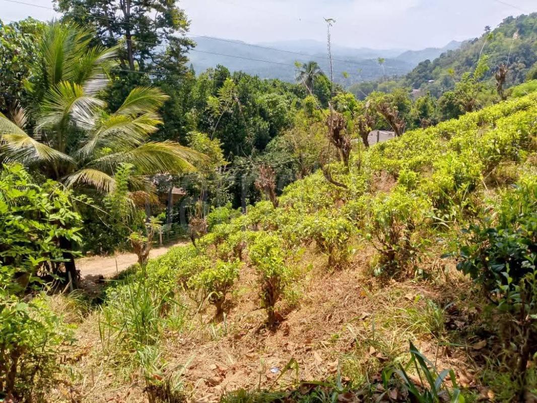 House for Sale in Gampola ads-image-1