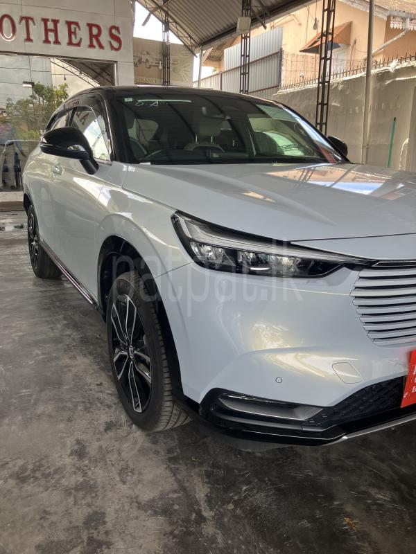 Advertisement image 2