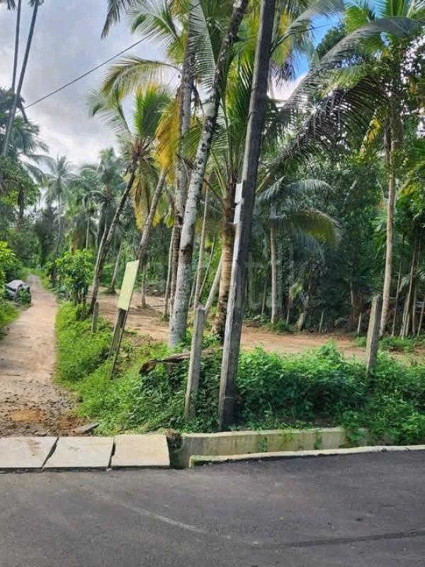 Commercial Land for Sale in Meegoda